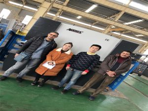 Egipte Customers koop Press Brake Machine van Accurl Companies